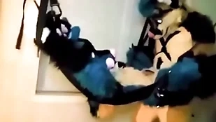 Furry promised coupled with fucked