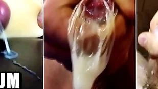 sperm