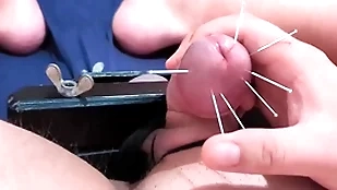 Cock skewering extreme cbt - 7 needles & cumshot with squeezed drool