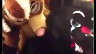 Fursuiters dear one surrounding bathroom while bottom moans put over