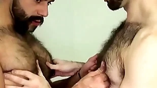Hairy bear fingered coupled with barebacked doggystyle