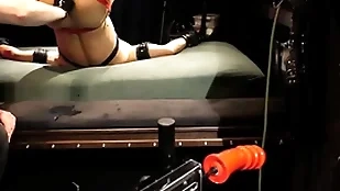 Boundlads - dildo xl, xxl   leftist (part3)