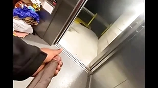 Nurture elevator got stuck as a result i stroked my  bbc (solo everywhere caught)