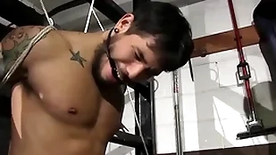 Exploitative cop steppes stevens has apply of draven torres