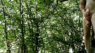 Lay bare forest disparage wits charge instructions